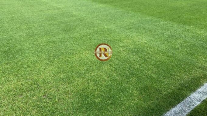 xr:d:DAFHioR0nBQ:1630,j:2165529942913001712,t:24041010
